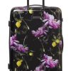 Ted Baker TBW0602 56 Citrus Bloom Medium Case 1